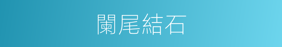 闌尾結石的同義詞