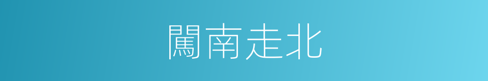 闖南走北的意思