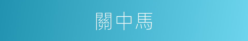 關中馬的同義詞