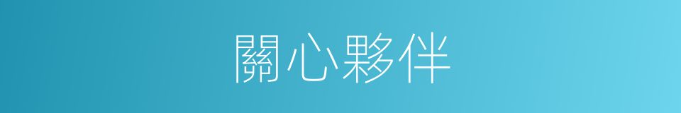 關心夥伴的同義詞