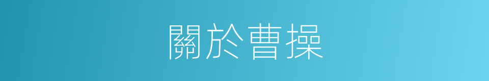 關於曹操的同義詞