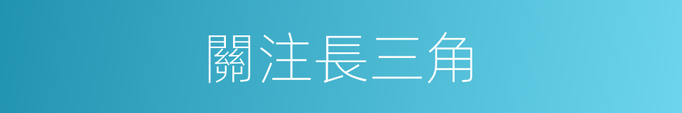 關注長三角的同義詞