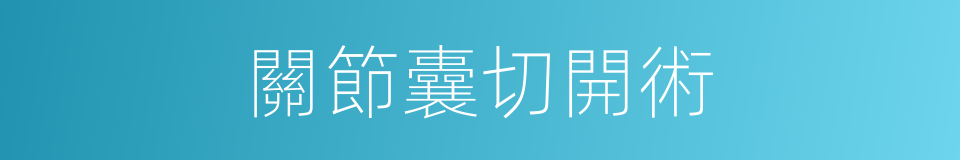關節囊切開術的同義詞