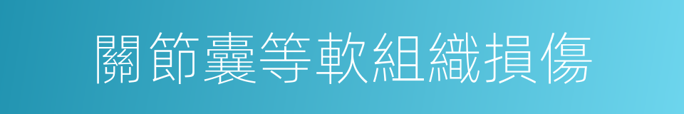 關節囊等軟組織損傷的同義詞