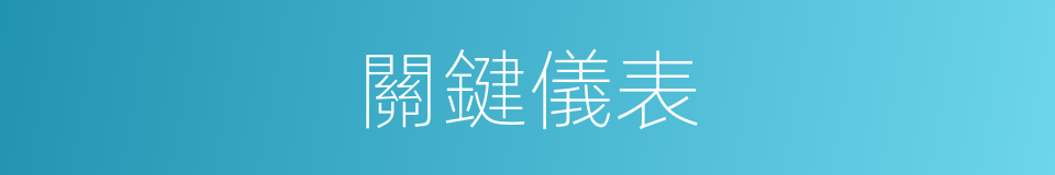 關鍵儀表的同義詞