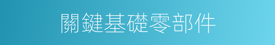 關鍵基礎零部件的同義詞