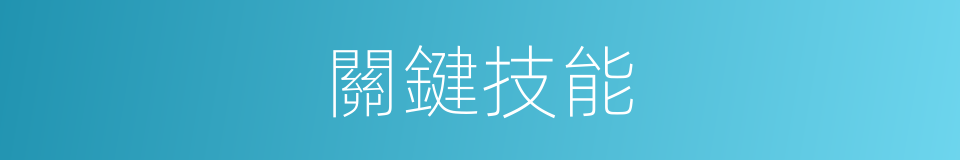 關鍵技能的同義詞