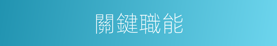 關鍵職能的同義詞