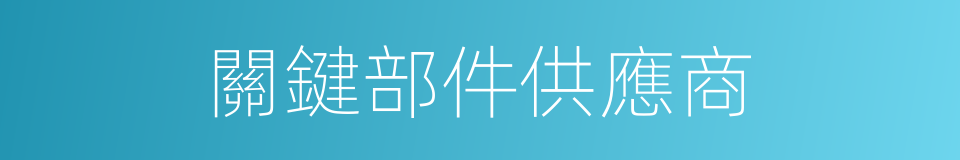 關鍵部件供應商的同義詞