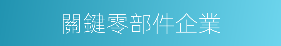 關鍵零部件企業的同義詞