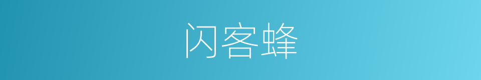 闪客蜂的同义词