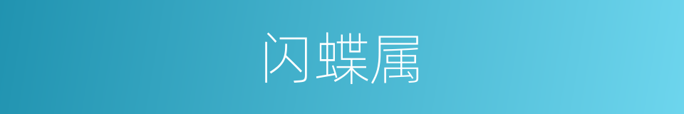 闪蝶属的同义词