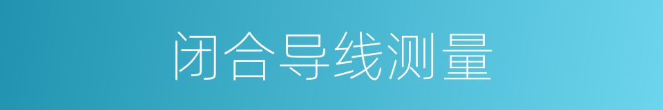 闭合导线测量的同义词