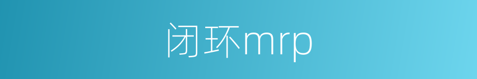 闭环mrp的同义词