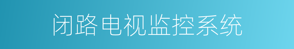 闭路电视监控系统的同义词