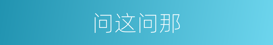 问这问那的同义词