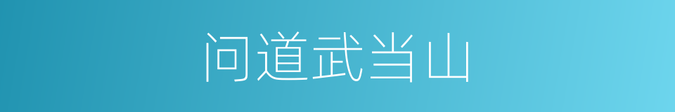 问道武当山的同义词