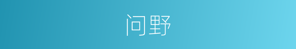 问野的同义词