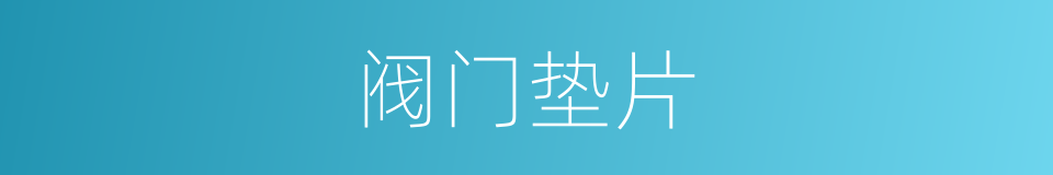 阀门垫片的同义词