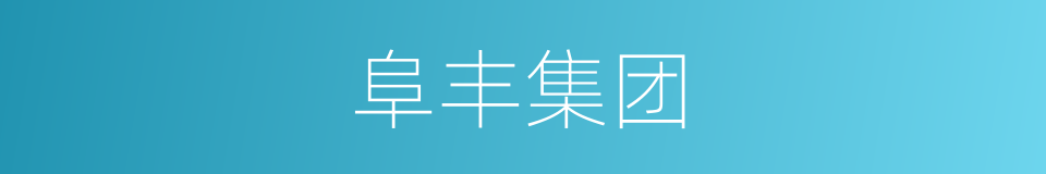 阜丰集团的同义词