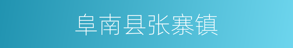 阜南县张寨镇的同义词