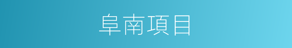 阜南項目的同義詞