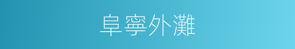 阜寧外灘的同義詞