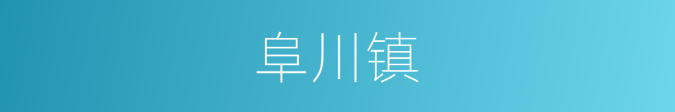 阜川镇的同义词