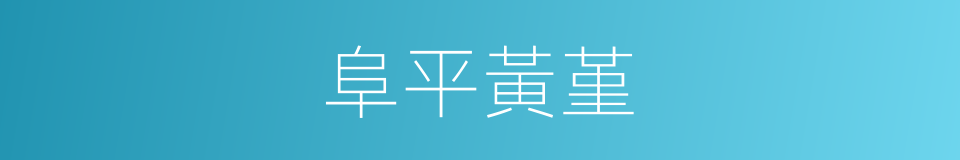 阜平黃堇的同義詞