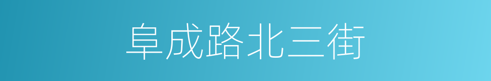 阜成路北三街的同义词