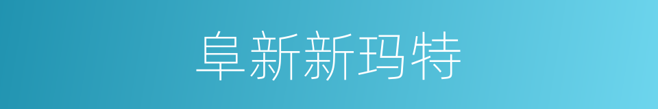 阜新新玛特的同义词