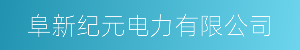 阜新纪元电力有限公司的同义词