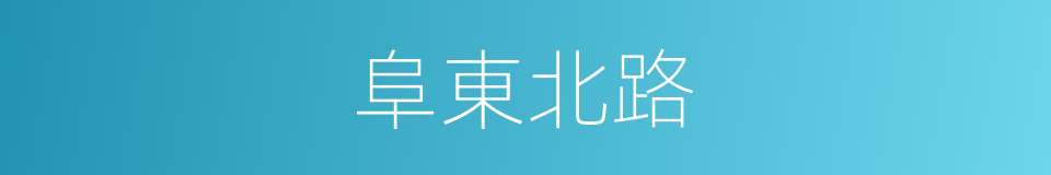 阜東北路的同義詞