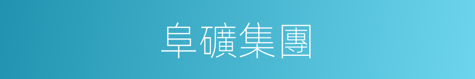 阜礦集團的同義詞