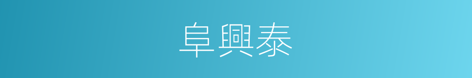 阜興泰的同義詞