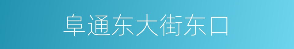 阜通东大街东口的同义词