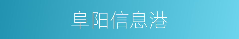阜阳信息港的同义词