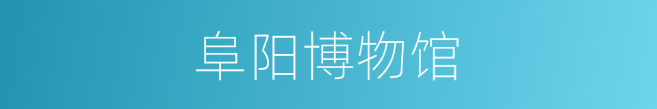 阜阳博物馆的同义词