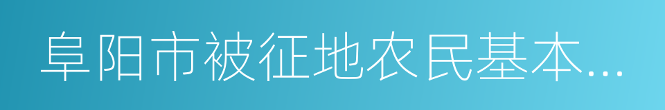 阜阳市被征地农民基本养老保险办法的同义词