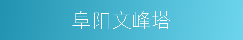阜阳文峰塔的同义词