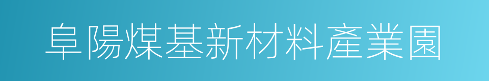 阜陽煤基新材料產業園的同義詞