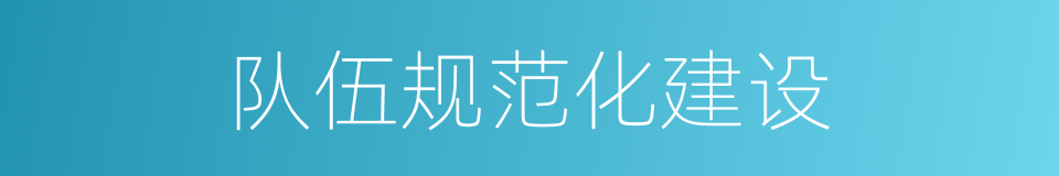 队伍规范化建设的同义词