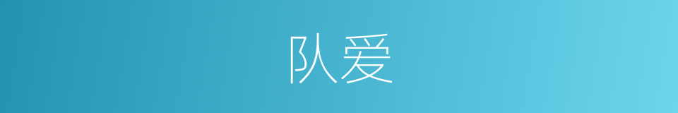 队爱的同义词