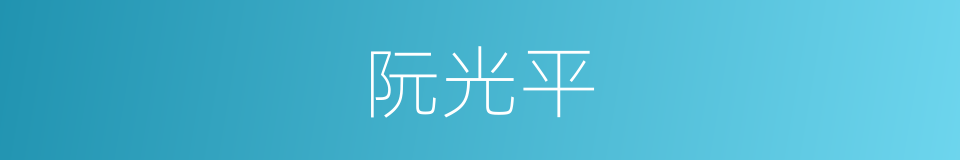 阮光平的同义词