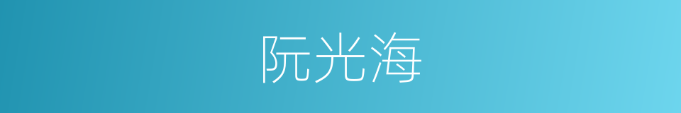 阮光海的同义词