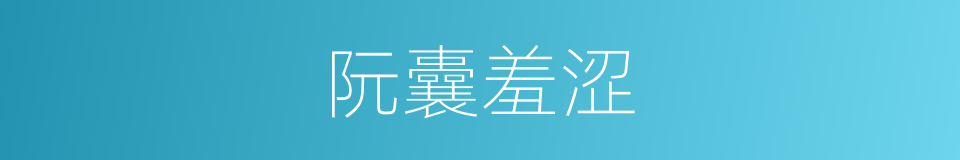 阮囊羞涩的意思