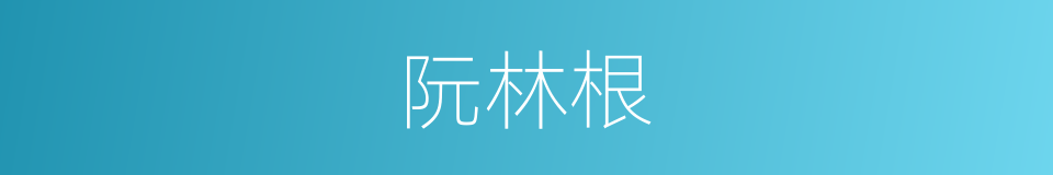 阮林根的同义词