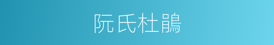 阮氏杜鵑的同義詞