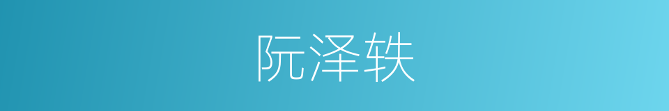 阮泽轶的同义词