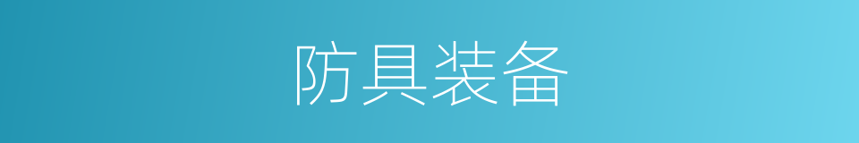 防具装备的同义词